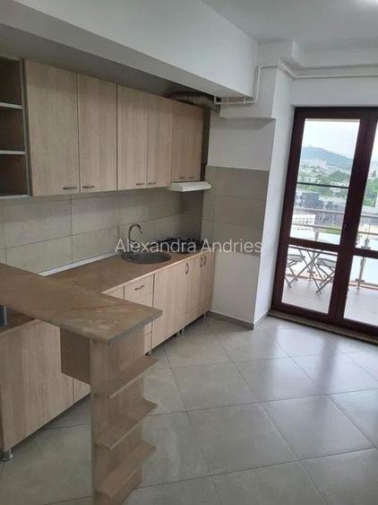 Apartament 1 camera open-space - intabulat - Lazar Residence