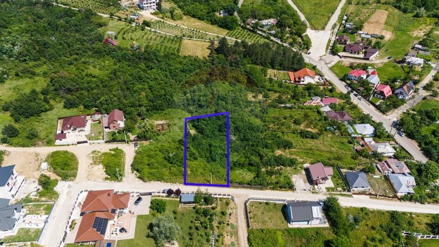 Teren de Vânzare 1450mp la Asfalt - Zona Plopii Fără Soț, Bucium-Iași - 2