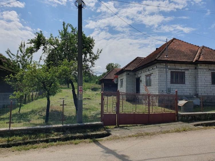 Vand casa cu gradina - 2