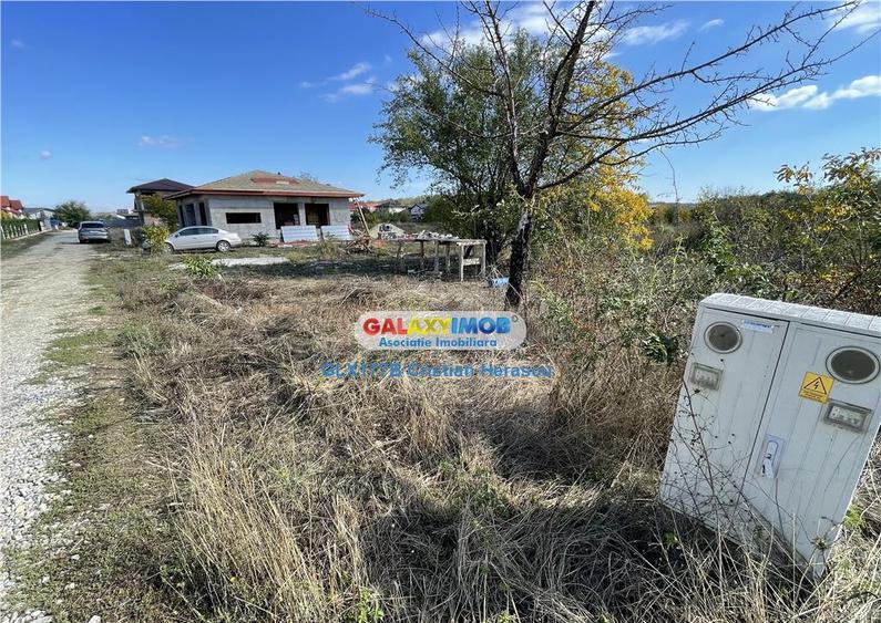 Gulia Tartasesti Str Samurcasi 482 mp deschidere 25 ml - 4