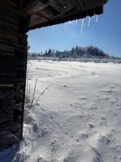 Teren satul Sirnea, intravilan, deschidere 120 m la drum asfaltat, - 8