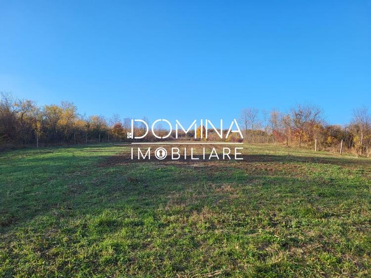 Teren 11.939 mp Balanesti – ideal rezidential/comercial - 4