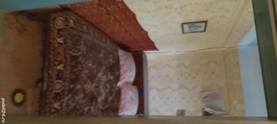 Casa la ?ara jud. Giurgiu, 4 camere, curte 4000 mp - 9