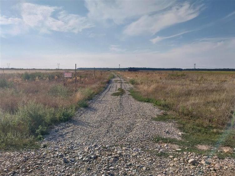 RECO Teren Cihei 504mp - 3