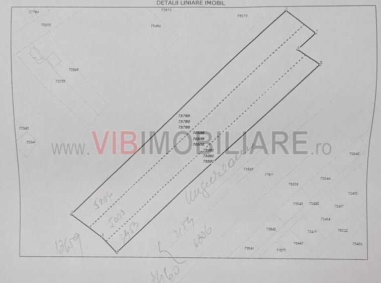 Racari - Teren - 13659 mp - intravilan - constructii - 4