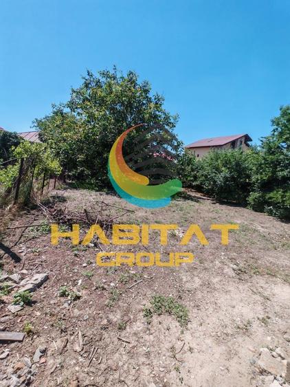 Oferta unica-teren stradal- Bulevardul 1 Mai, Berceni - 5