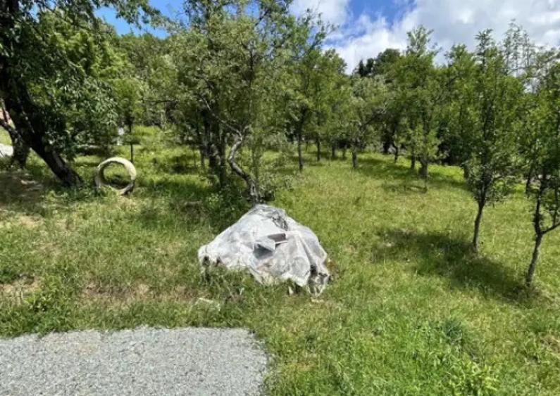 Parcela de 8,86 ari zona Valea Rosie - 2