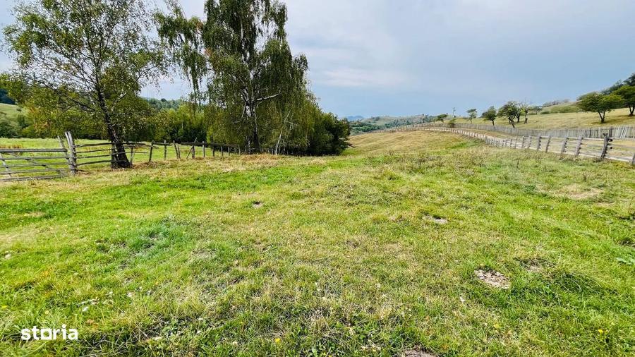 Teren De Vanzare In Zona Purcareti, Jud. Alba. 17800 Mp. - 4