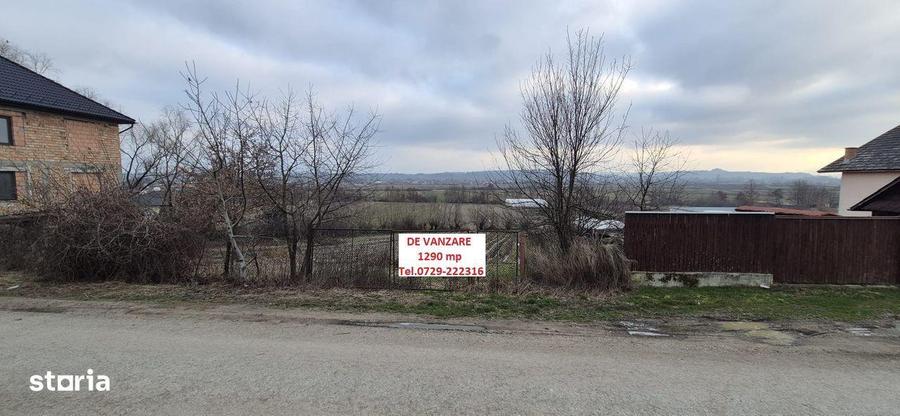 Teren de vanzare, 1290 mp, Coltau Maramures - 4
