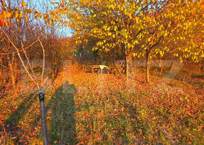 Teren cu vedere panoramica, 32 m deschidere la strada - 5