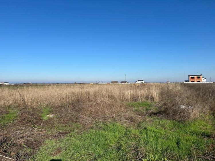 1017 mp Dragomiresti Vale pe strada din spatele Liceului  // toate utilitatile - 8