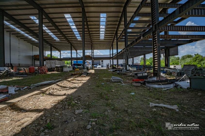 Hale in parcul Tetarom I - 13