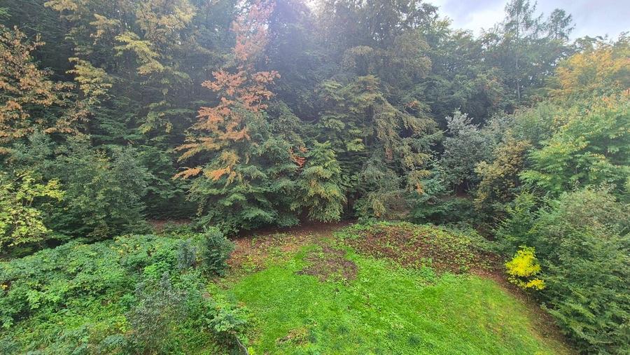 Apartament 2 camere in Racadau - 12