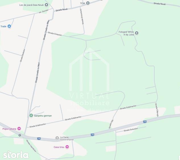 Teren intravilan de constructii - 277 mp - Daia Noua - 4