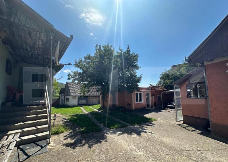 Casa saseasca de vanzare, curte, gradina, teren 3000 mp - Ji - 10