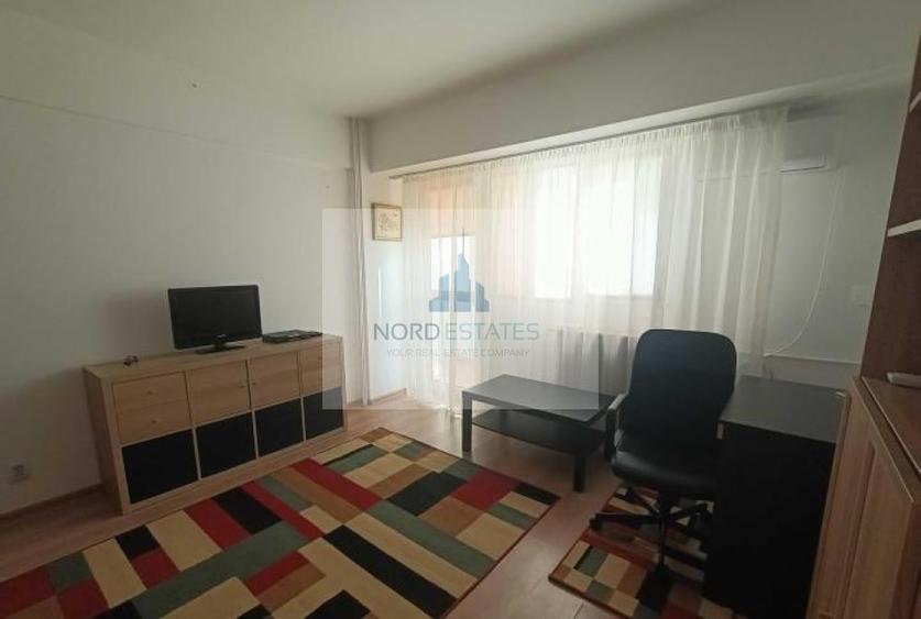 Garsonierea Piata Victoriei metrou - 2