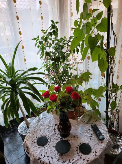 SCHIMB sau VAND casa la tara cu apartament , - 1