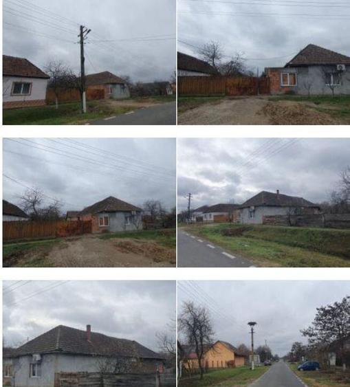 Cota 1/2 din casa -Loc. Sintea Mare, jud. Arad - 3