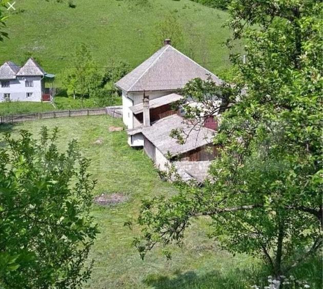 Casa individuala cu 3 camere, 217 mp utili,1600 mp teren,Intregalde - 8