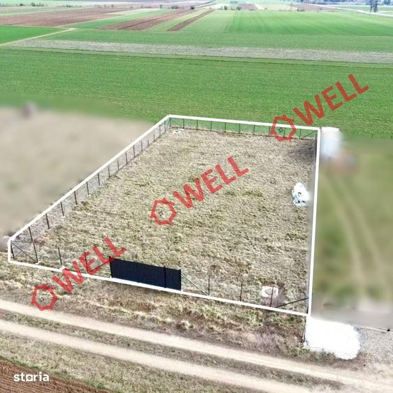 Teren intravilan de vanzare in Anghelus! - 4