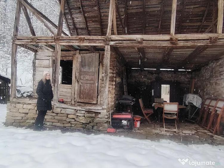 Casa boiereasca Urseiu - 10