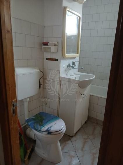 3 CAMERE // PARCUL MIHAI VITEAZU //2 BAI // PET FRIENDLY - 7