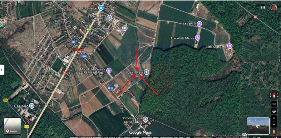 Teren de vanzare Ciolpani - 1650 mp - 3