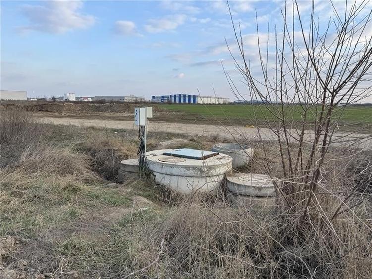 Teren vanzare 3 ha Clinceni - ideal pentru dezvoltare! - 2