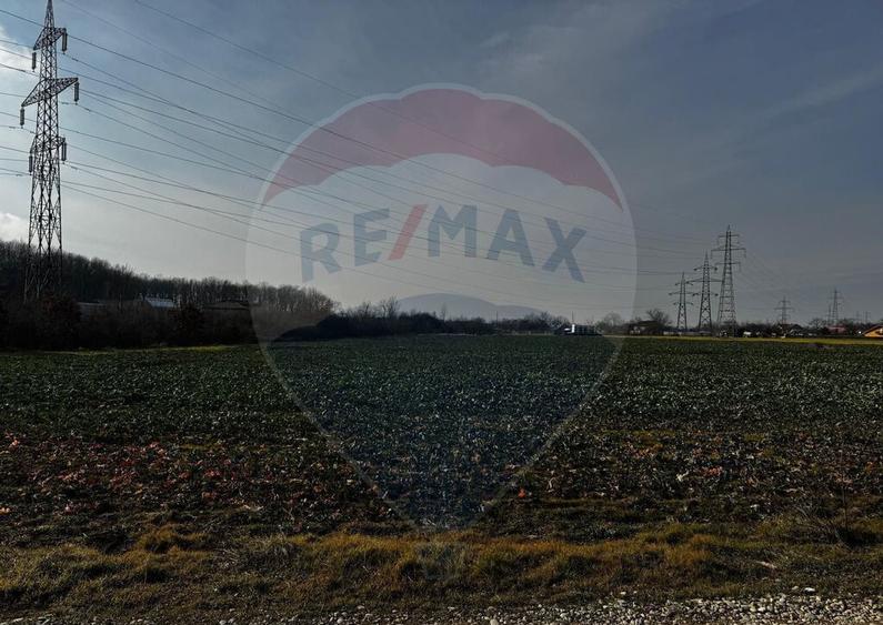 Teren 4,000mp Balotesti / Strada Rozelor - 3