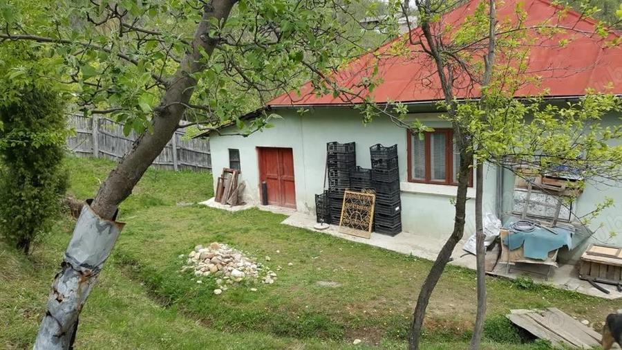 Vand gospodarie taraneasca teren Com Danicei Sat Ciresu 7300mp la 18.000euro - 8
