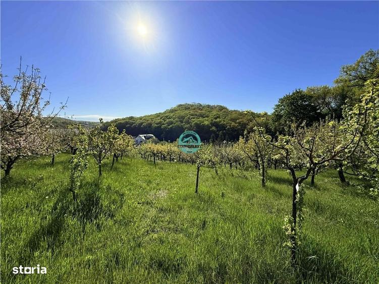 Vand teren intravilan, 2566 mp in Corunca situat intr-o zona linistita - 11
