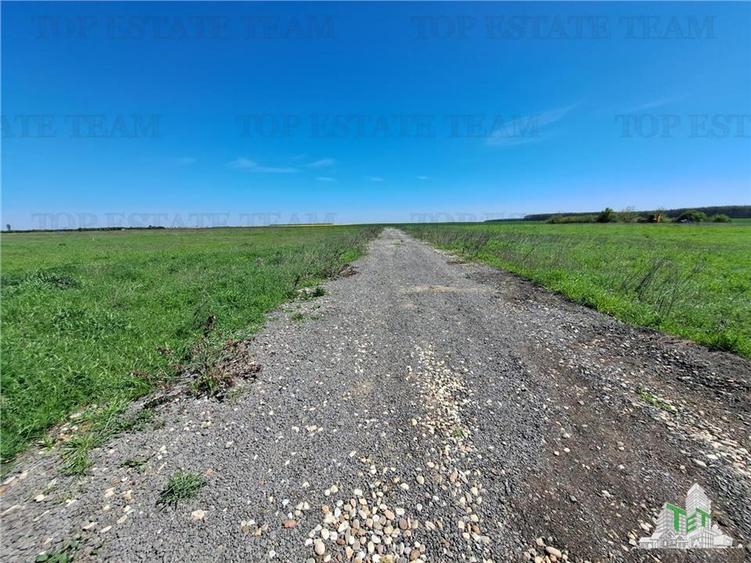 Loturi teren de vanzare Branesti/Vadu Anei - 9