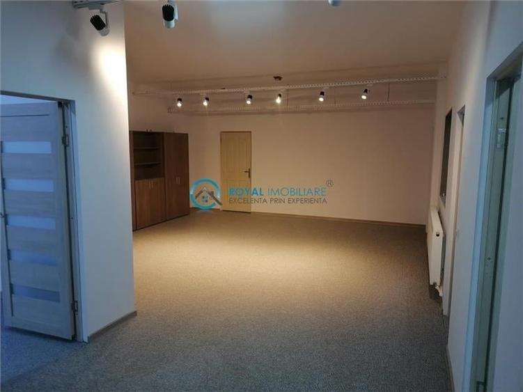Royal Imobiliare - Vanzare Spatiu de productie Albesti Paleologu - 7