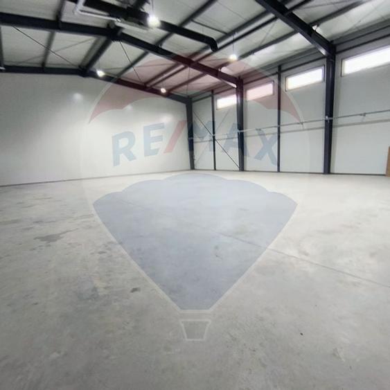 Spatiu industrial hala 572 mp de inchiriat - 6