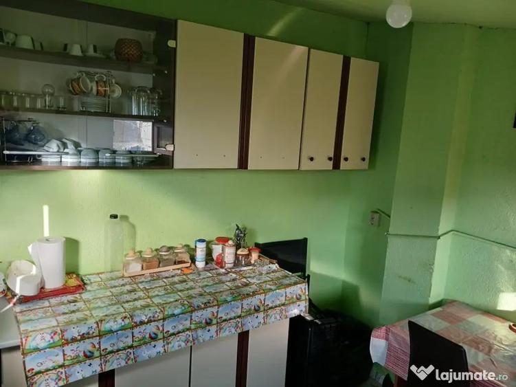 Vand casa sat Campu Mare,comuna Albeni - 7