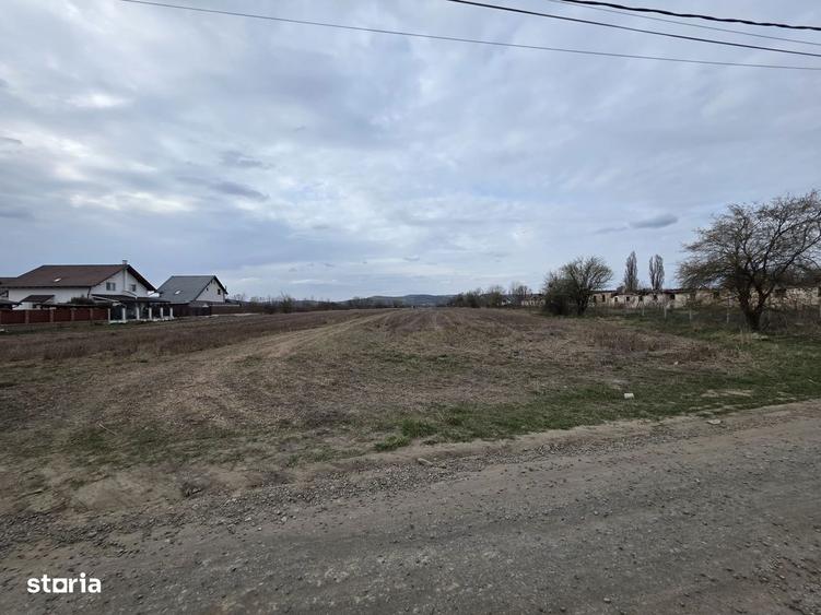 Teren de vanzare zona ideala, 50 arii, utilitati la drum, langa Medex - 4