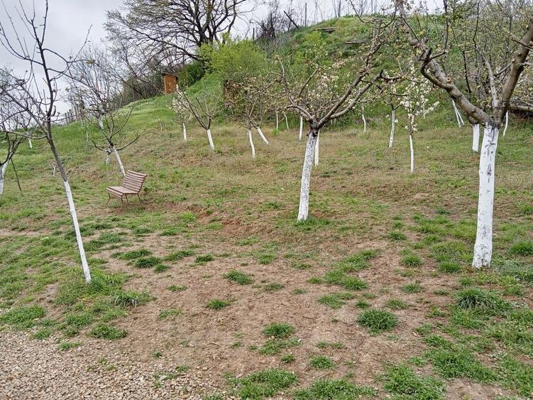 Teren intravilan 500 mp Oradea cu toate utilitatile 32500 euro - 2