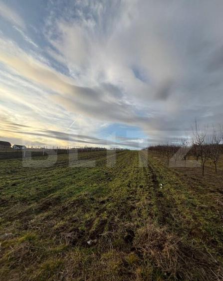 Teren intravilan 33 ari, Simleu Silvaniei - 4