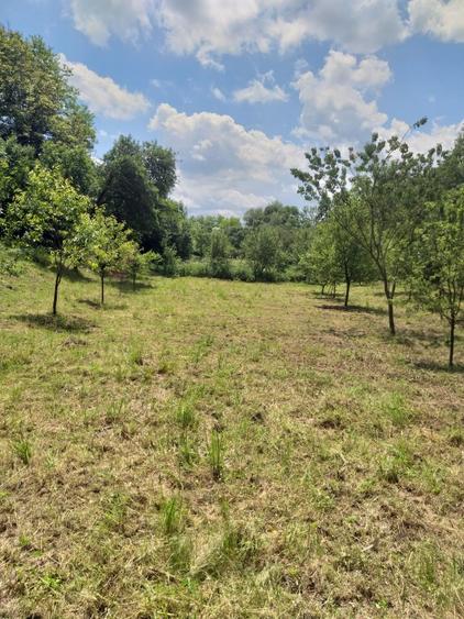 Teren de vanzare - 2