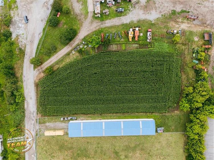 FILM! 4.600mp,aria industriala,utilitati aproape:hala,depozit,service auto - 7