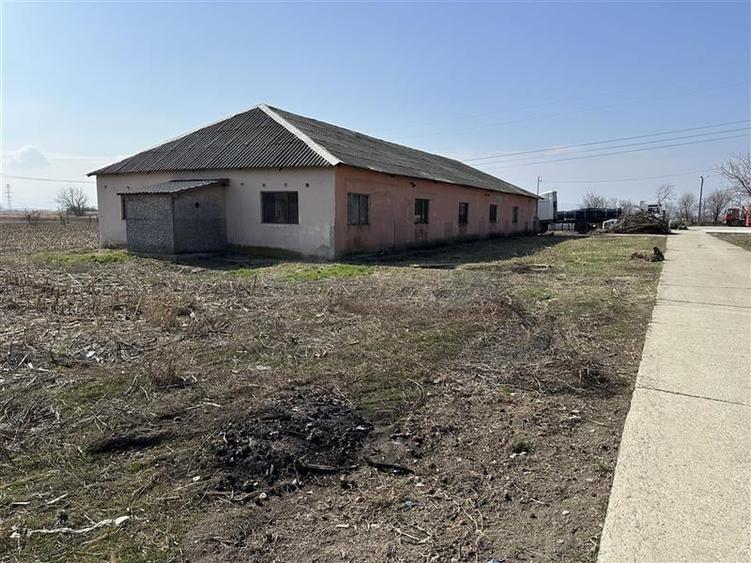 Letea Veche - Radomiresti - Hala 409 - teren 4.650mp - 2