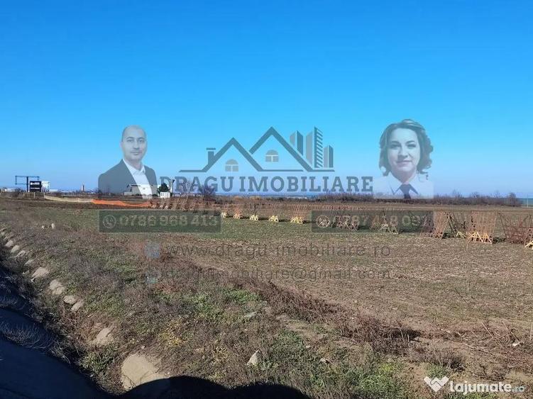 Teren 5000 mp, ie?ire din Tecuci, dupa Peco Galbenu? - 2