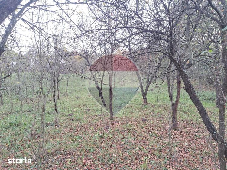Teren de 3500 mp, în Vărbila
