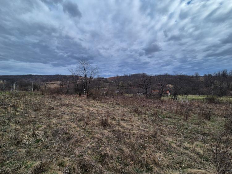 Teren agricol extravilan de 11400 mp, în Iabalcea