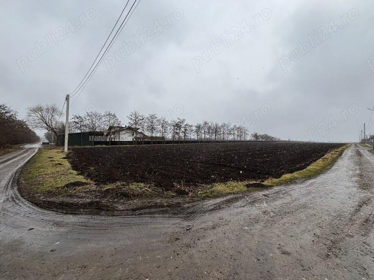 Teren de 15000 mp, în Saucenița