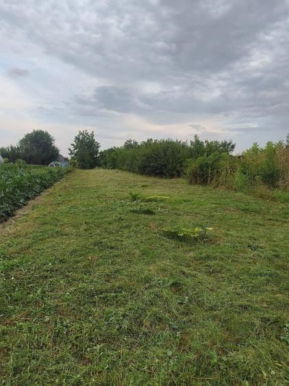 Teren de 500 mp, în Dărăști-Ilfov