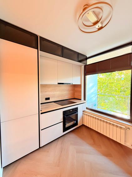 Studio premium | North Area Lake View | Herastrau - 11