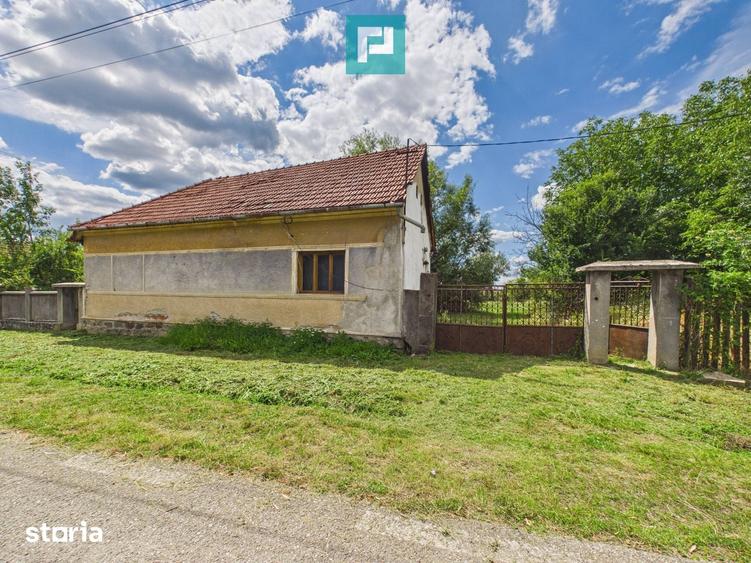 Casă cu 3 camere cu Teren 2341 Mp în Gurahonț