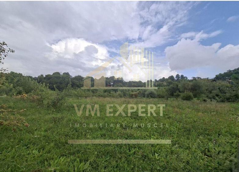 TEREN 20.621 MP CAMPULUNG - 7