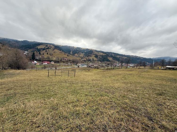 Teren de vanzare - 3